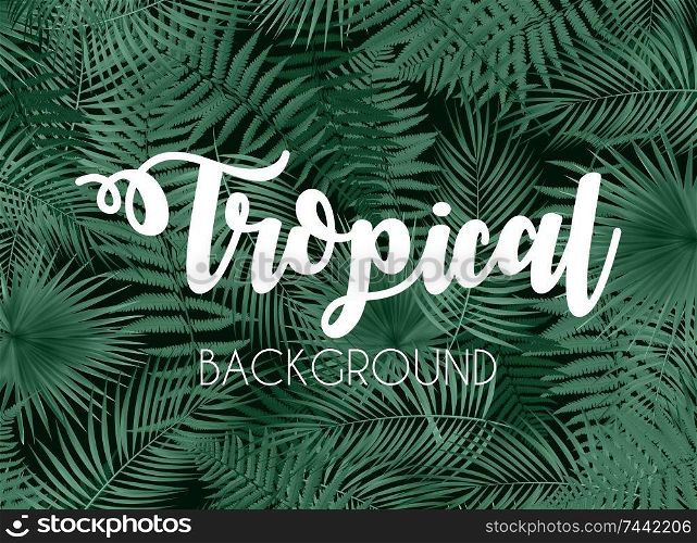 Colorful naturalistic tropical background from the leaf of Libistones Palm . Vector Illustration. EPS10. Colorful naturalistic tropical background from the leaf of Libis