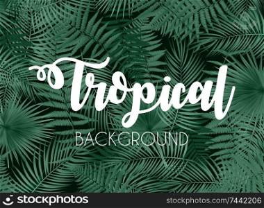 Colorful naturalistic tropical background from the leaf of Libistones Palm . Vector Illustration. EPS10. Colorful naturalistic tropical background from the leaf of Libis