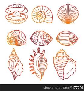 Colorful outline seashell set vector illustration on white background. Seashells. Colorful outline seashell set vector illustration