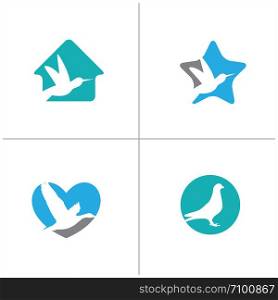 colorful Pigeon illustration in heart, hawk, dove humming bird vector logo design