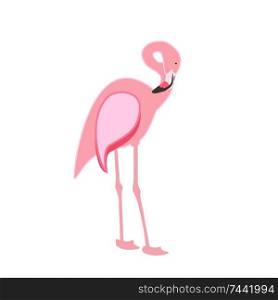 Colorful pink flamingo isolated on white background. Vector Illustration. EPS10. Colorful pink flamingo isolated on white background. Vector Illustration.