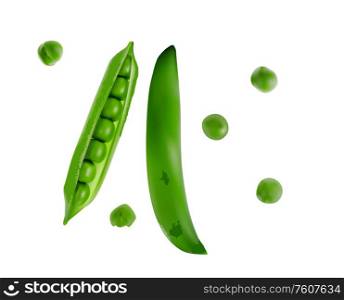 Colorful realistic 3D pod of ripe green peas isolated on white background. Vector Illustration. EPS10