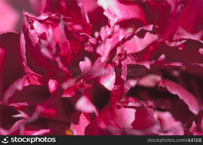 Colorful red flower in soft color and blur style for background. The colorful red flower in soft color and blur style for background