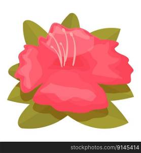 Colorful rhododendron icon cartoon vector. Flower plant. Botany spring. Colorful rhododendron icon cartoon vector. Flower plant