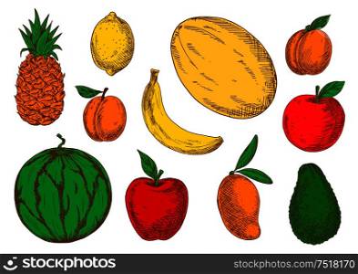 Colorful sketch of vegetarian fruits. Exotic mango and raw avocado, tasty melon and mature pineapple, juicy watermelon and fresh apricot, sour lemon or lime and big melon. Colorful sketch of vegetarian fruits