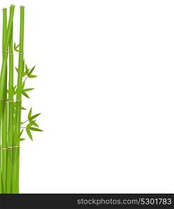 Colorful Stems and Bamboo Leaves. Vector Illustration. EPS10. Colorful Stems and Bamboo Leaves. Vector Illustration.