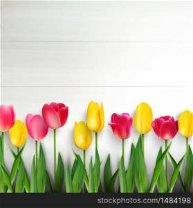 Colorful tulips on white wooden table.Vector