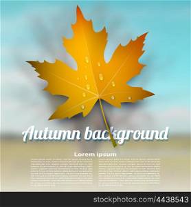 Colorful vector autumn maple leaf with raindrops on blurred abstract background. &#xA;Illustration onset of autumn. Design element for advertising, wallpaper, banner. Stock vector &#xA;illustration