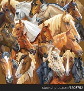 Colorful vector pattern with realistic portraits of horses breeds. Vector colorful background with portraits of horses. Illustration is good for postcards, design and posters.