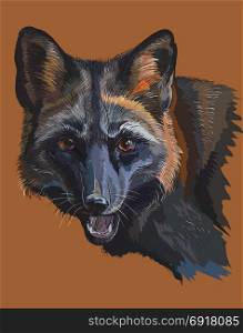 Colorful vector portrait of black fox isolated on brown background