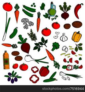 Colorful vegetarian salad ingredients icon with healthy fresh tomatoes, olives, green onions, carrots, mushrooms, garlic, peppers, potatoes, beets, sweet peas and cucumbers vegetables, sunflower and olive oil, spicy herbs. Sketch style . Healthy vegetables with condiments sketch icon
