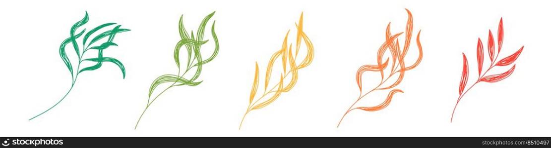 Colorful willow leaves. Leaf sketch. Hand drawn vector illustration. Pen or marker doodle plant.. Colorful willow leaves. Leaf sketch. Hand drawn vector illustration. Pen or marker doodle plant