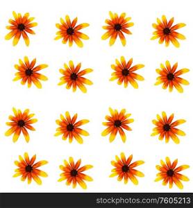 Colorful yellow echinacea on white background. Seamless pattern. Vector illustration. EPS10. Colorful yellow echinacea on white background. Seamless pattern. Vector illustration