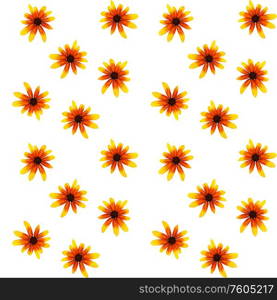 Colorful yellow echinacea on white background. Seamless pattern. Vector illustration. EPS10. Colorful yellow echinacea on white background. Seamless pattern. Vector illustration