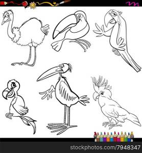 Coloring Book Cartoon Illustration of Funny Birds Characters Set