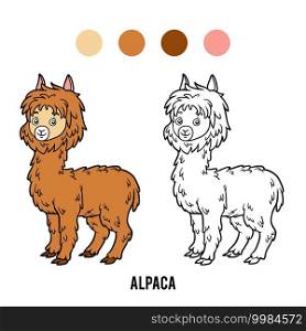 Coloring book for children, Alpaca