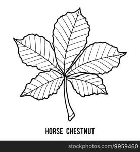 Coloring book for children, Horse Chestnut