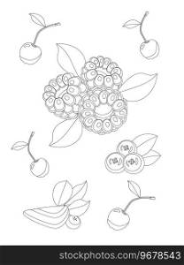 Coloring book for children made of berries, strawberries, raspberries, currants, cherries, leaves and shadows on a white background. Coloring book for children from berries, strawberries, raspberries, currants, cherries