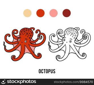 Coloring book for children, Octopus