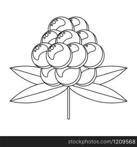 Coloring book for children. Vector illustration. berry cloudberry. Coloring book for children. Vector. berry. cloudber
