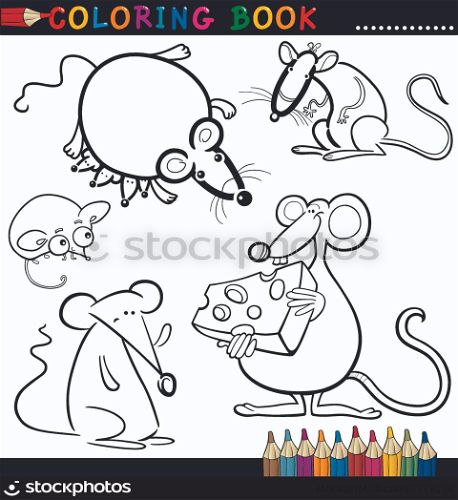 Coloring Book or Page Cartoon Illustration of Funny Rats and Mouses for Children