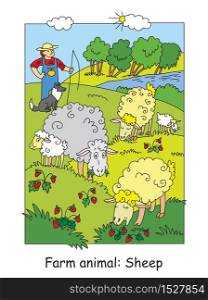 Coloring pages with cute sheeps gracing on meadow and shepherd with his dog. Cartoon vector illustration. Stock illustration for design, preschool education, print and game.
