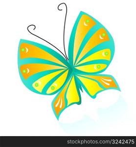 Colourful butterfly with reflection, vector illustration