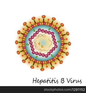 Colourful Hepatitis B Virus particle structure isolated on white background. Vector illustration. Colourful Hepatitis B Virus particle structure isolated