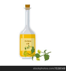Colza oil in bottle and oilseed rape flowers. Decanter with cork isolated on white background. Agricultural plant cartoon vector illustration.