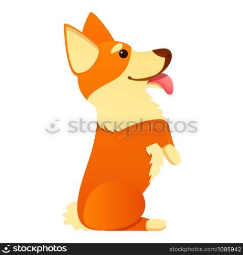 Comic corgi dog icon. Cartoon of comic corgi dog vector icon for web design isolated on white background. Comic corgi dog icon, cartoon style