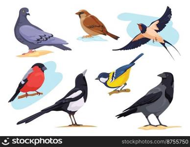 Common birds. Cartoon isolated city and forest bird pigeons sparrows bullfinch dove goldfinch, nature birding european animal collection different pose, neat vector illustration. City wildlife bird. Common birds. Cartoon isolated city and forest bird pigeons sparrows bullfinch dove goldfinch, nature birding european animal collection different pose, neat vector illustration