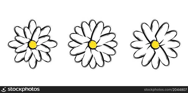 Common daisy flower, blossoming pattern. Flat vector flower sign. Line art flowers, leaves, plants for Bouquet. Yellow blooming flowers. Cartoon summer, spring time.
