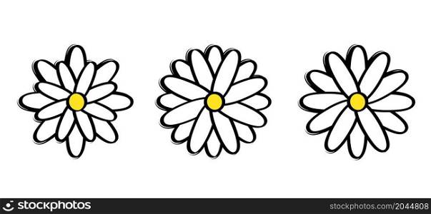 Common daisy flower, blossoming pattern. Flat vector flower sign. Line art flowers, leaves, plants for Bouquet. Yellow blooming flowers. Cartoon summer, spring time.