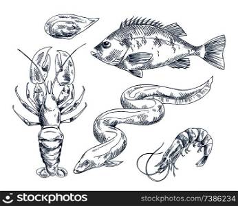 Common perch and eel, small shrimp and crab, edible clam mussel icon set. Monochrome hand drawn sea inhabitant illustration for seafood restaurant.. Sea Inhabitant Illustration for Seafood Restaurant