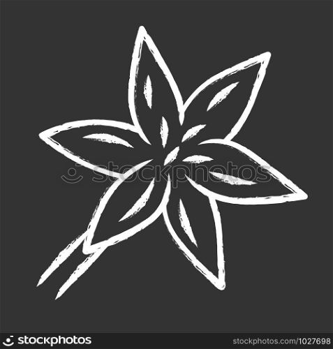 Common star lily chalk icon. Blooming wildflower. Spring blossom. Toxicoscordion fremontii plant. Meadow deathcamas flower. Star zigadene. Isolated vector chalkboard illustration
