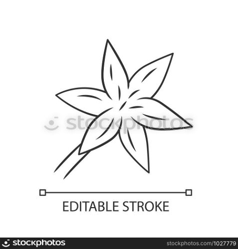 Common star lily linear icon. Blooming wildflower. Spring blossom. Toxicoscordion fremontii plant. Star zigadene. Thin line illustration. Contour symbol. Vector isolated drawing. Editable stroke