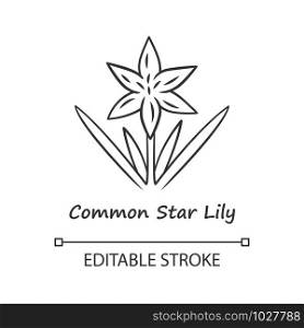 Common star lily linear icon. Thin line illustration. Blooming wildflower. Spring blossom. Toxicoscordion fremontii plant inflorescence. Star zigadene. Vector isolated outline drawing. Editable stroke