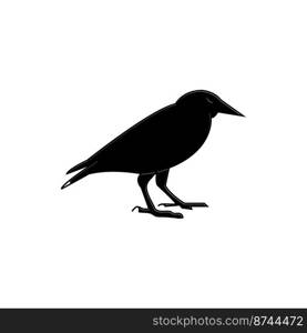 common starling icon vector illustration simple design