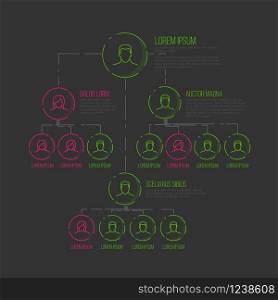 Company management hierarchy schema template with thin line profile icons - pink and green dark color version. Company management hierarchy schema template