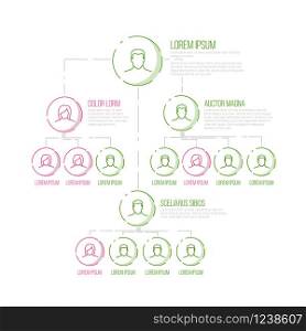 Company management hierarchy schema template with thin line profile icons - pink and green color version
