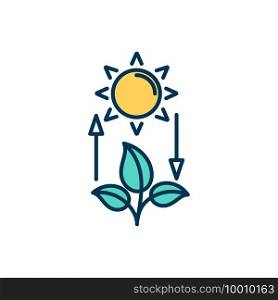 Competent photosynthesis RGB color icon. Using energy from sunlight. Green plants, leaves, flowers. Photosynthetic organism. Converting light into chemical energy. Isolated vector illustration. Competent photosynthesis RGB color icon