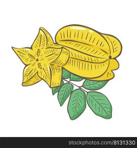 Composition carambola whole slice and foliage. Exotic tropical fruits hand drawn vector illustration. Carambola whole, part and deciduous twig. Healthy organic food color icon. Composition carambola whole slice and foliage