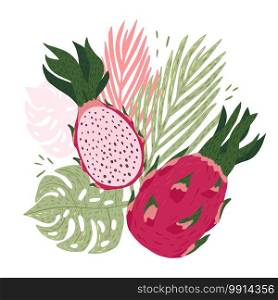 Composition dragon fruit with tropical leaves on white background. Abstract botanical dragon fruit, palm, monstera green and pink color in doodle style vector illustration.. Composition dragon fruit with tropical leaves on white background. Abstract botanical dragon fruit, palm, monstera green and pink color in doodle style.