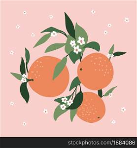 Composition from abstract branches of orange, leaves and color pink background. Nature background vector. Suitable for postcards, backgrounds, stickers.. Composition from abstract branches of orange, leaves and color pink background. Nature background vector. Suitable for postcards, backgrounds, stickers