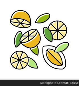 composition lemon color icon vector. composition lemon sign. isolated symbol illustration. composition lemon color icon vector illustration