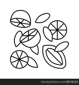 composition lemon line icon vector. composition lemon sign. isolated contour symbol black illustration. composition lemon line icon vector illustration