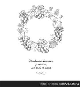 Composition with grapes objects including berry, stem, blossom and other decorative elements hand drawn sketch vector illustration . Composition With Grapes Objects Hand Drawn Sketch