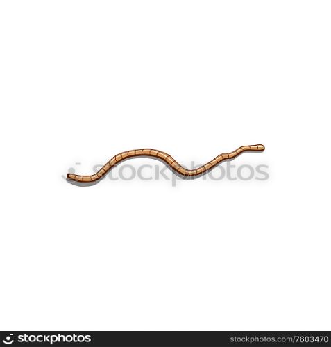 Compost earthworm isolated soil worm. Vector vermicompost vermin, manure crawling pest pink invertible. Vermicompost worm, manure or soil earthworm