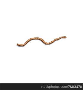 Compost earthworm isolated soil worm. Vector vermicompost vermin, manure crawling pest pink invertible. Vermicompost worm, manure or soil earthworm
