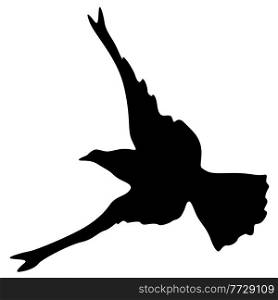 ConcepConcept of love or peace. Set silhouettes doves. t of love or peace. Silhouettes doves.. Concept of love or peace. Silhouettes doves